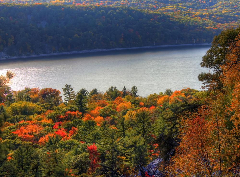 Lake and forest at Devil's Lake State Park, Wisconsin image - Free stock  photo - Public Domain photo - CC0 Images