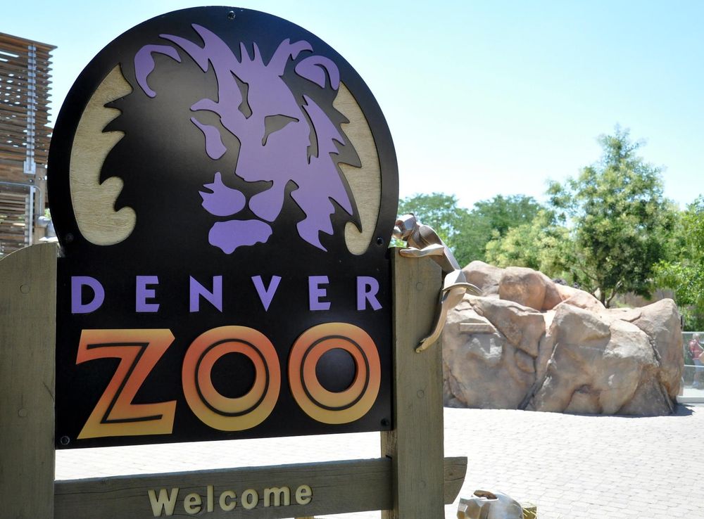 Go wild at the zoo > Buckley Space Force Base > Article Display