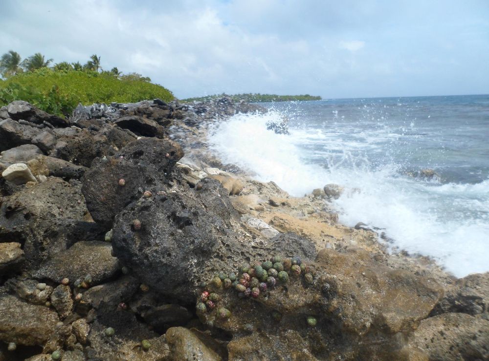 File:CAYO SOMBRERO PARQUE NACIONAL MORROCOY FALCON 02.JPG - Wikimedia  Commons