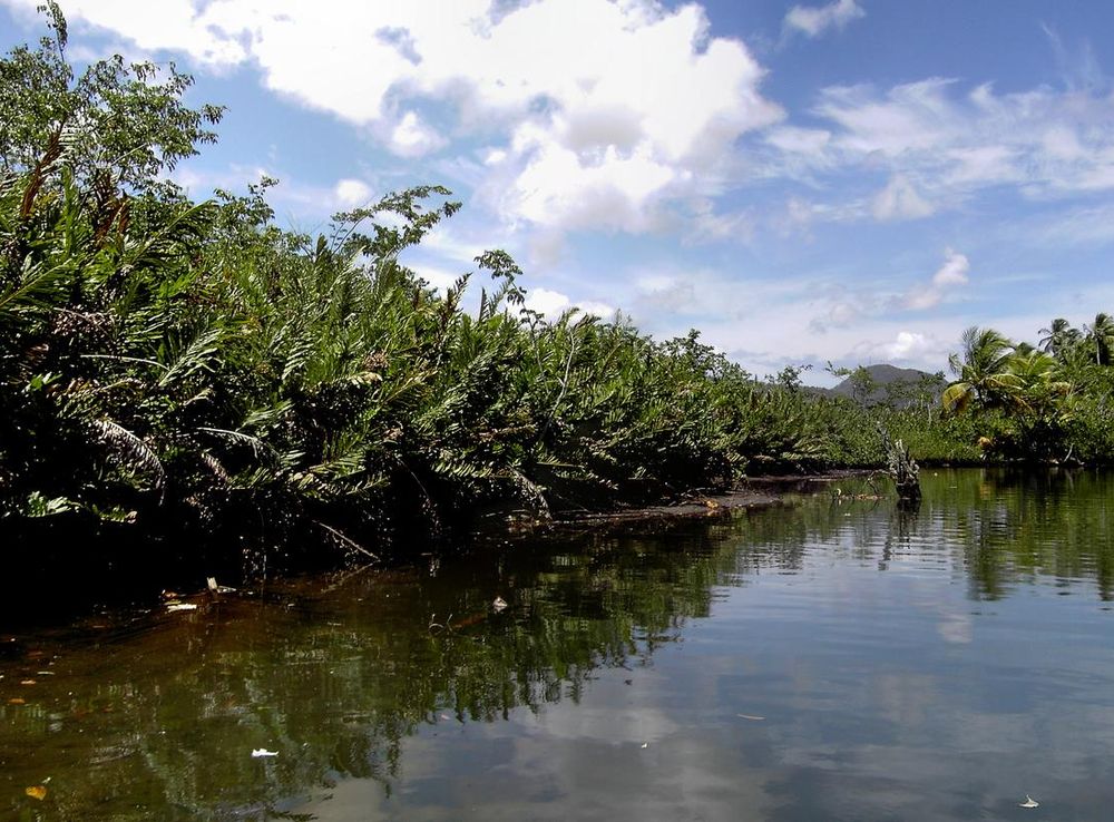 File:Indian River.jpg - Wikimedia Commons