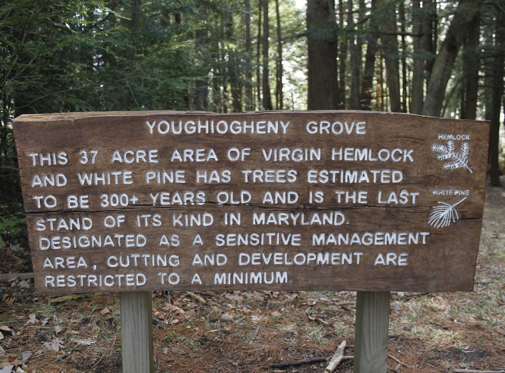 File:Youghiogheny Grove sign.JPG - Wikimedia Commons
