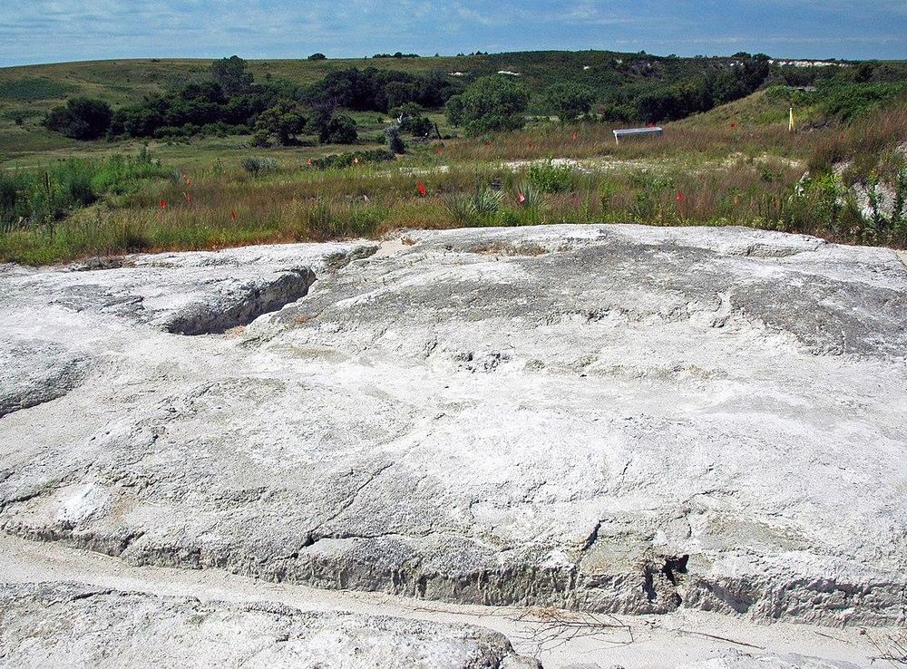 File:Volcanic tuff (Ash Hollow Formation, Miocene, 11.83 Ma; Ashfall Fossil  Beds, Nebraska, USA) 15.jpg - Wikimedia Commons