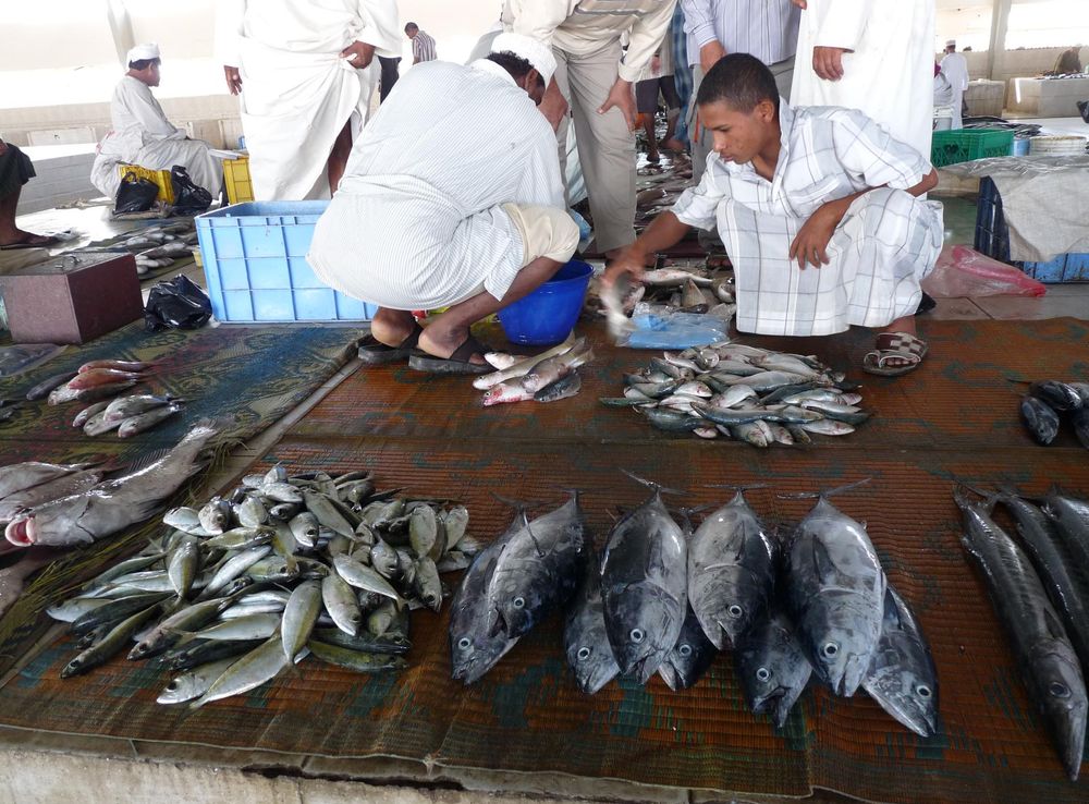 File:Sur-Fish market (2).JPG - Wikimedia Commons