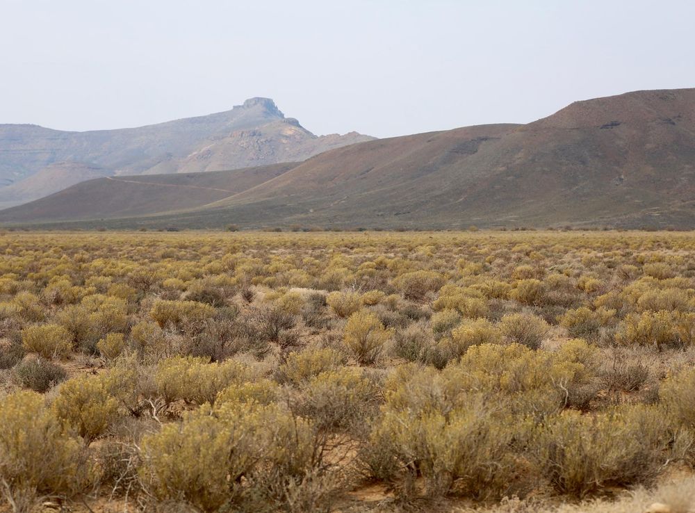 File:Tankwa Karoo National Park (37317357751).jpg - Wikipedia