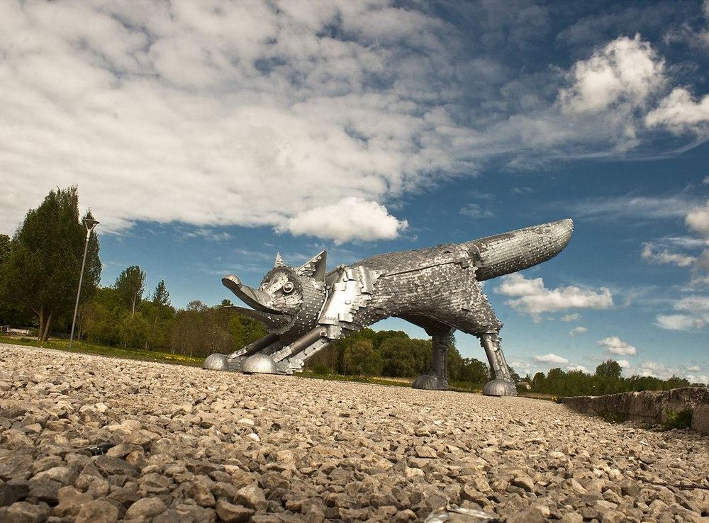 File:Šiauliai fox - panoramio.jpg - Wikimedia Commons