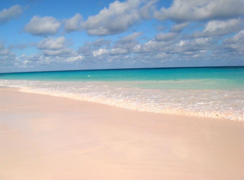 File:Pink Sands Beach, Harbour Island, Bahamas (5279465868).jpg - Wikimedia  Commons