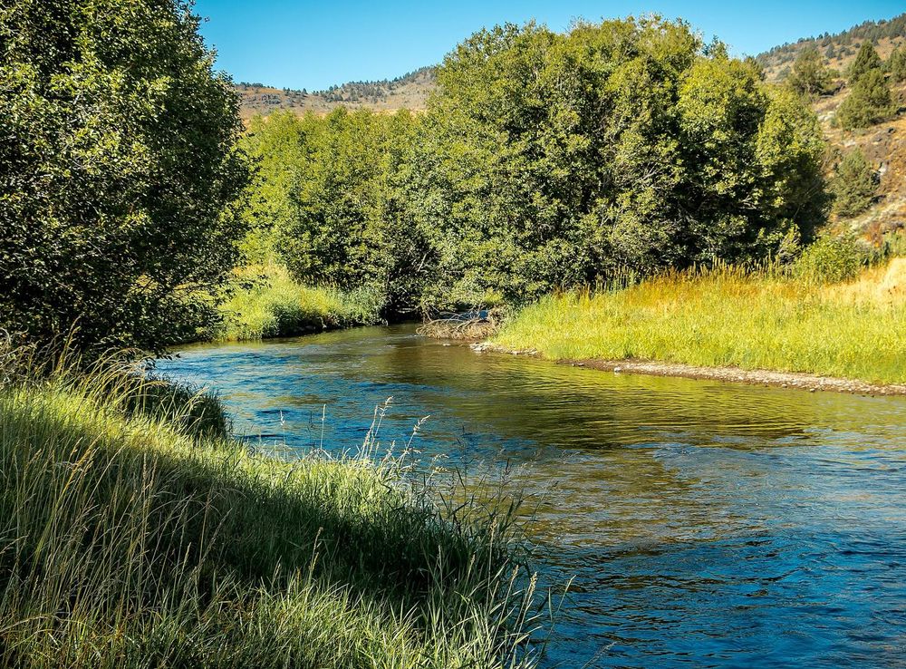 File:Donner und Blitzen Wild and Scenic River (32885390985).jpg - Wikimedia  Commons