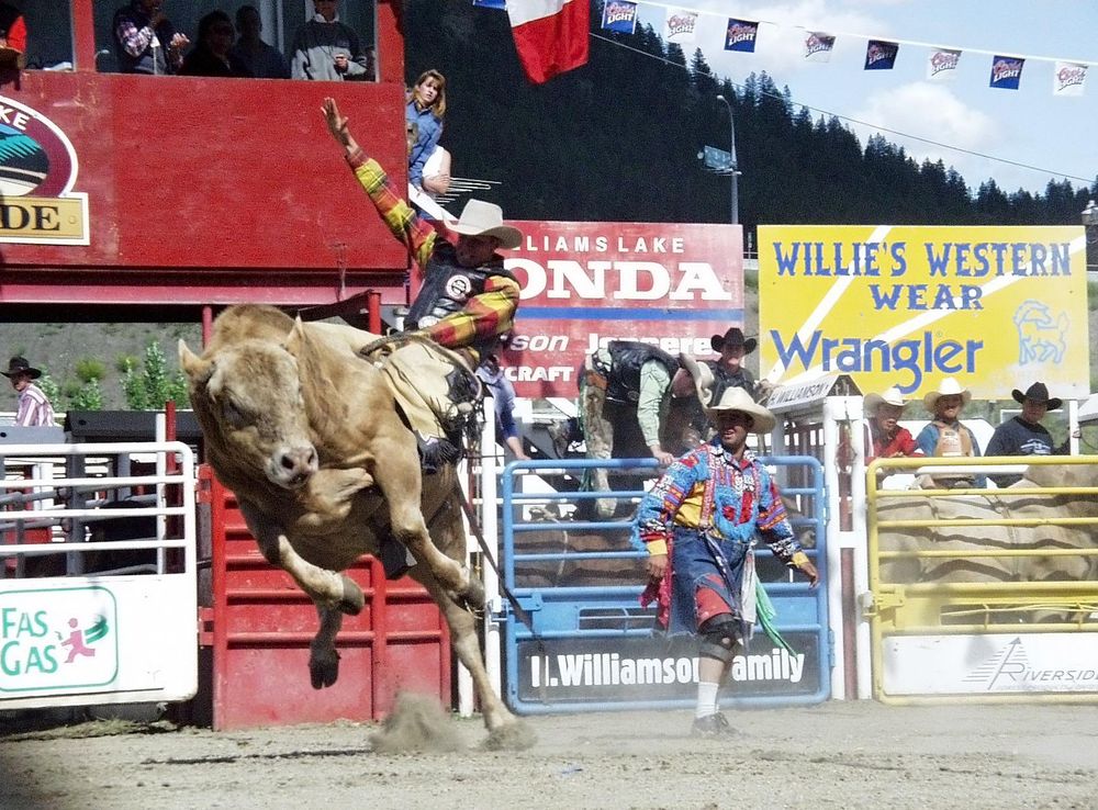 Free Images : activity, clown, canada, cowboy, fair, rodeo, british  columbia, traditional sport, barrel racing, animal sports, equestrian  sport, bull riding, williams lake, event outdoor 1712x1226 - - 1151064 -  Free stock photos - PxHere