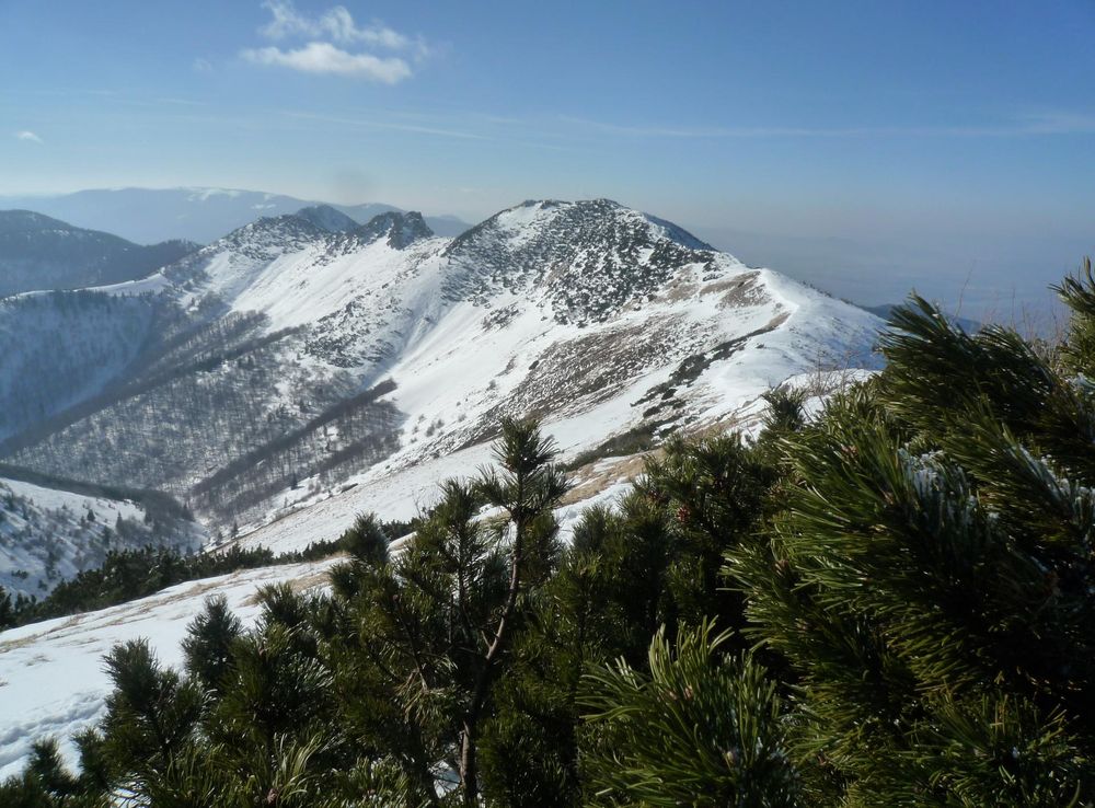Súbor:Stratenec Mala Fatra.JPG – Wikipédia