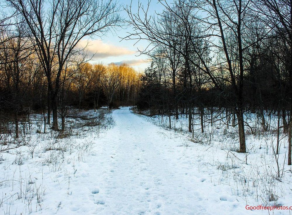 File:Afternoon On The Trail At Parfrey S Glen Wisconsi (143008249).jpeg -  Wikimedia Commons