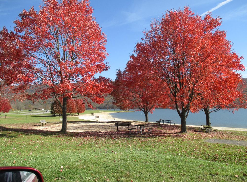 File:Bald Eagle State Park, Pennsylvania Fall Beach.JPG - Wikimedia Commons