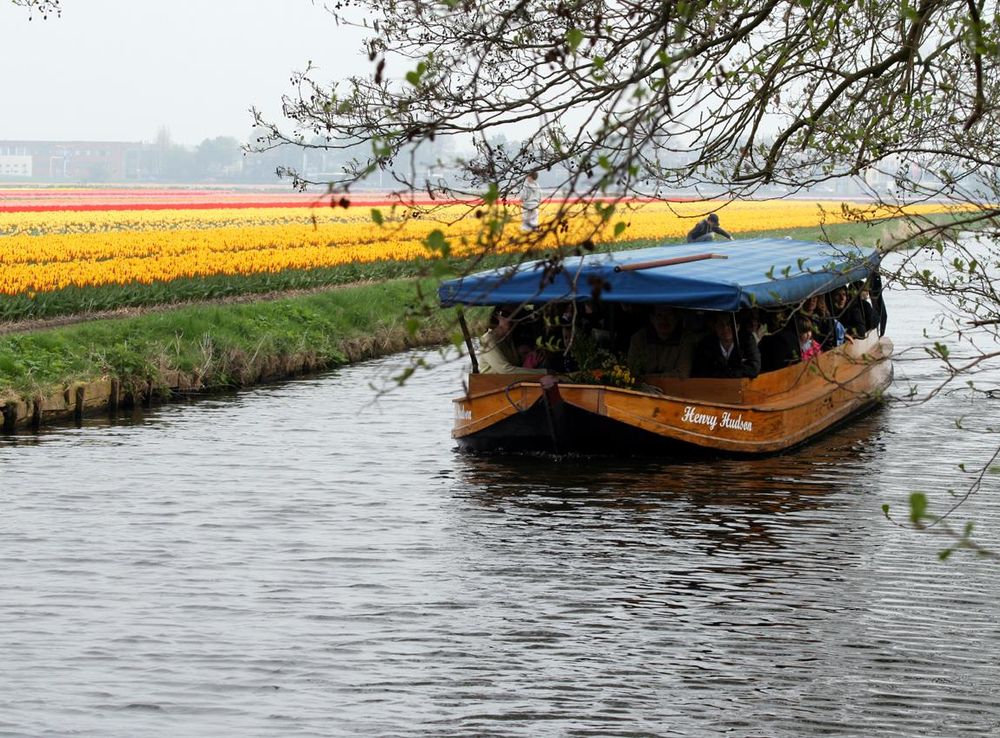 File:Keukenhof (7).JPG - Wikimedia Commons