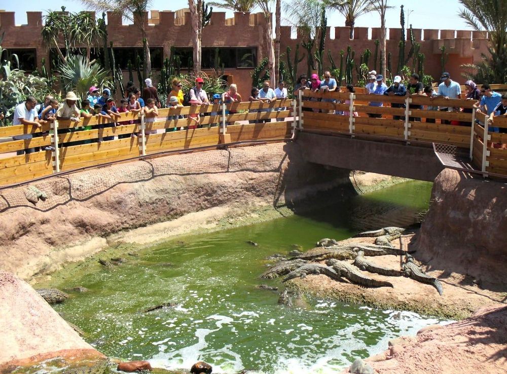 File:Crocoparc-Agadir-bassins-crocodiles-min.JPG - Wikimedia Commons