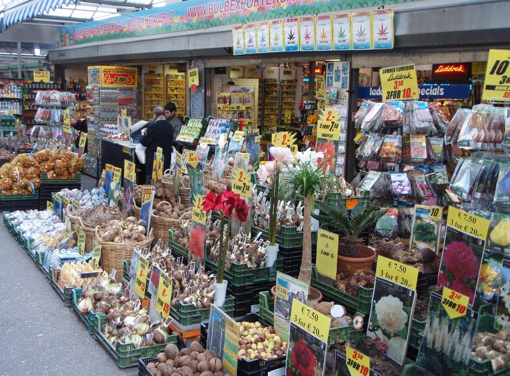 File:Amsterdam Bloemenmarkt 4.JPG - Wikimedia Commons