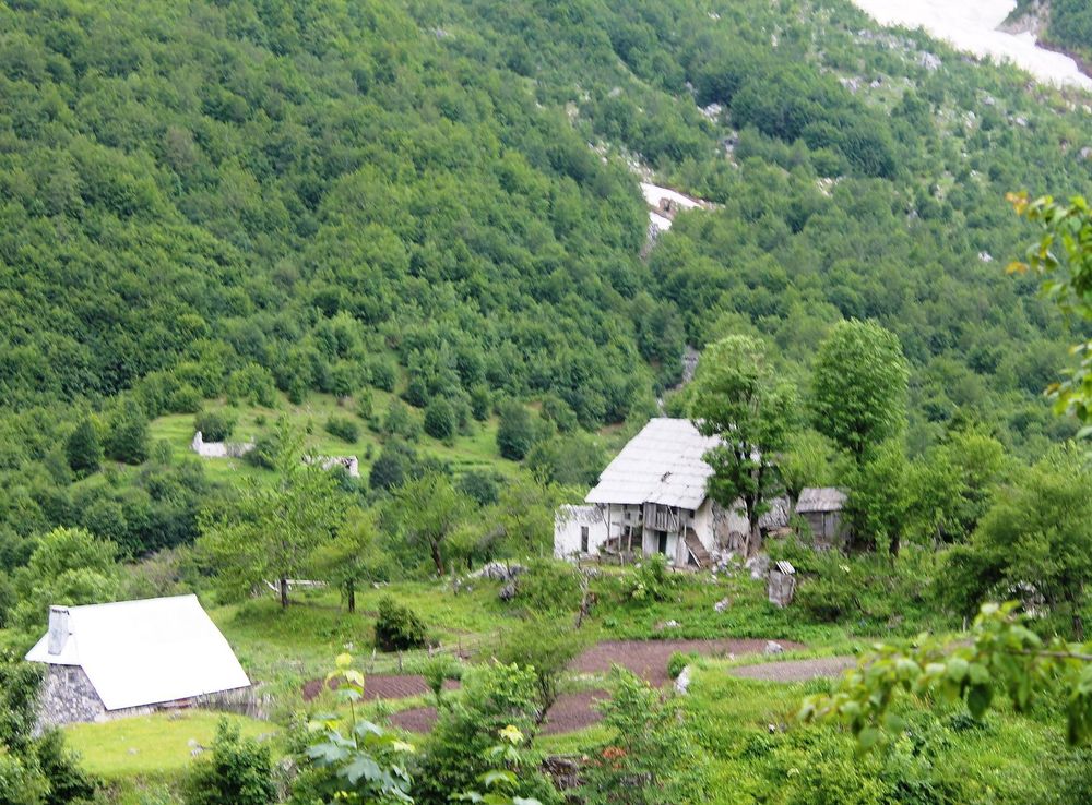File:Rragami.JPG - Wikimedia Commons