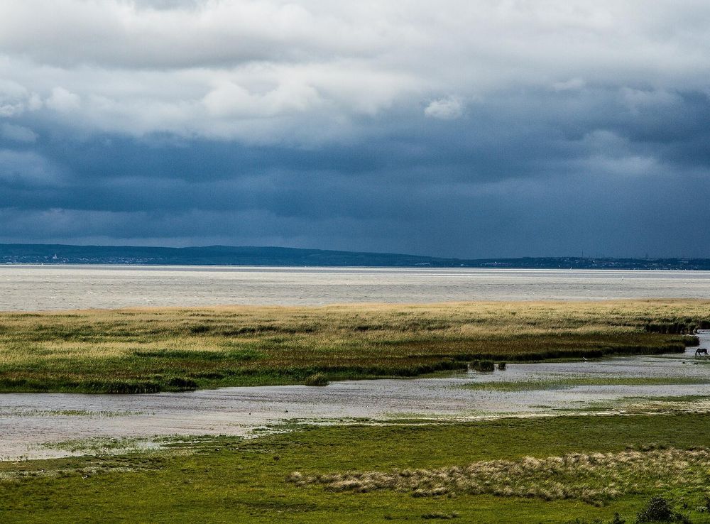 File:Nationalpark Neusiedlersee-Seewinkel südlich von Podersdorf.jpg -  Wikipedia