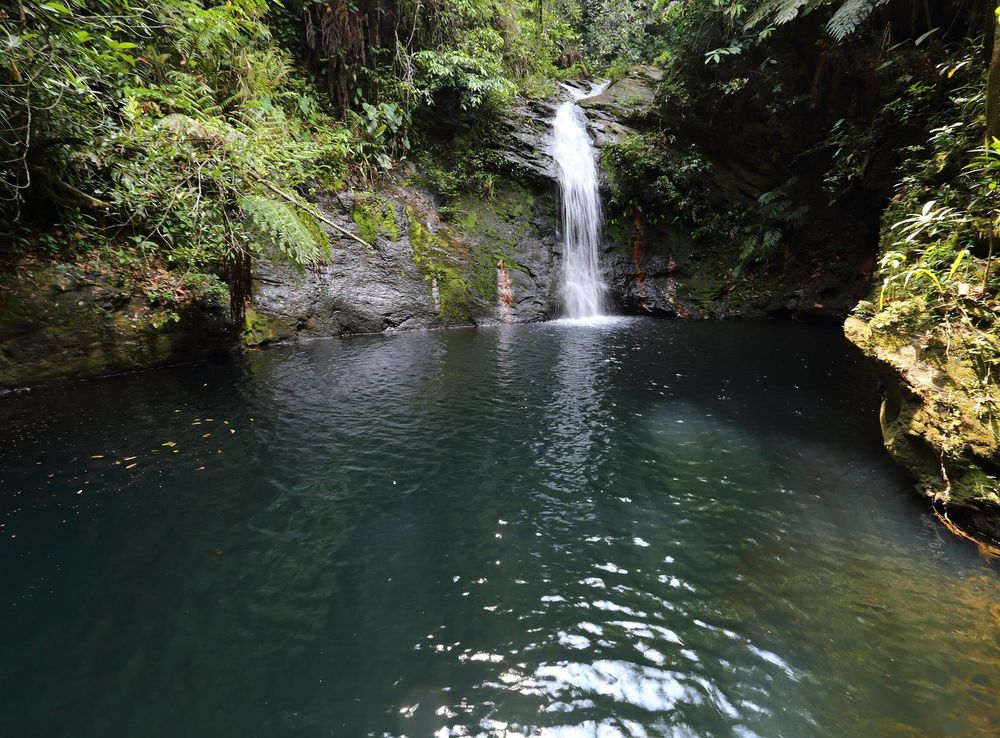 File:Cockscomb Basin Wildlife Sanctuary 20.JPG - Wikimedia Commons