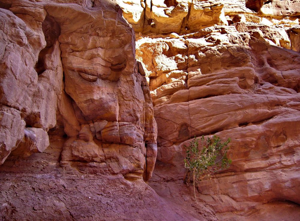 File:Sinai Coloured Canyon - panoramio (7).jpg - Wikimedia Commons