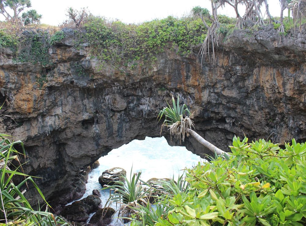 File:Hufangalupe TongaTonga.jpg - Wikimedia Commons