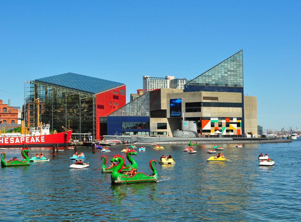 File:BaltimoreNationalAquarium.JPG - Wikipedia