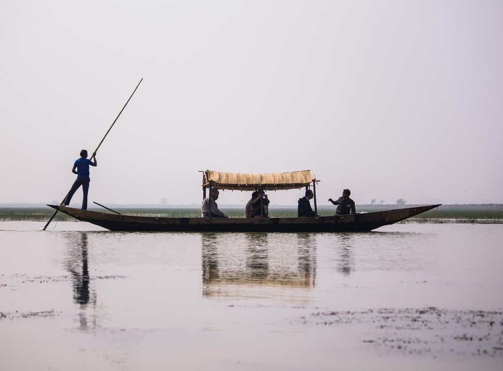 File:Chilika Lake Mangalajodi Wetlands Odisha India 2012.jpg - Wikimedia  Commons