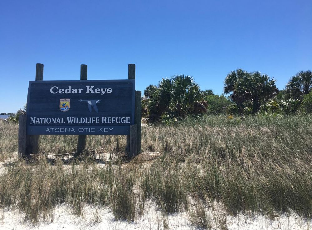 File:Cedar Keys National Wildlife Refuge.jpg - Wikimedia Commons