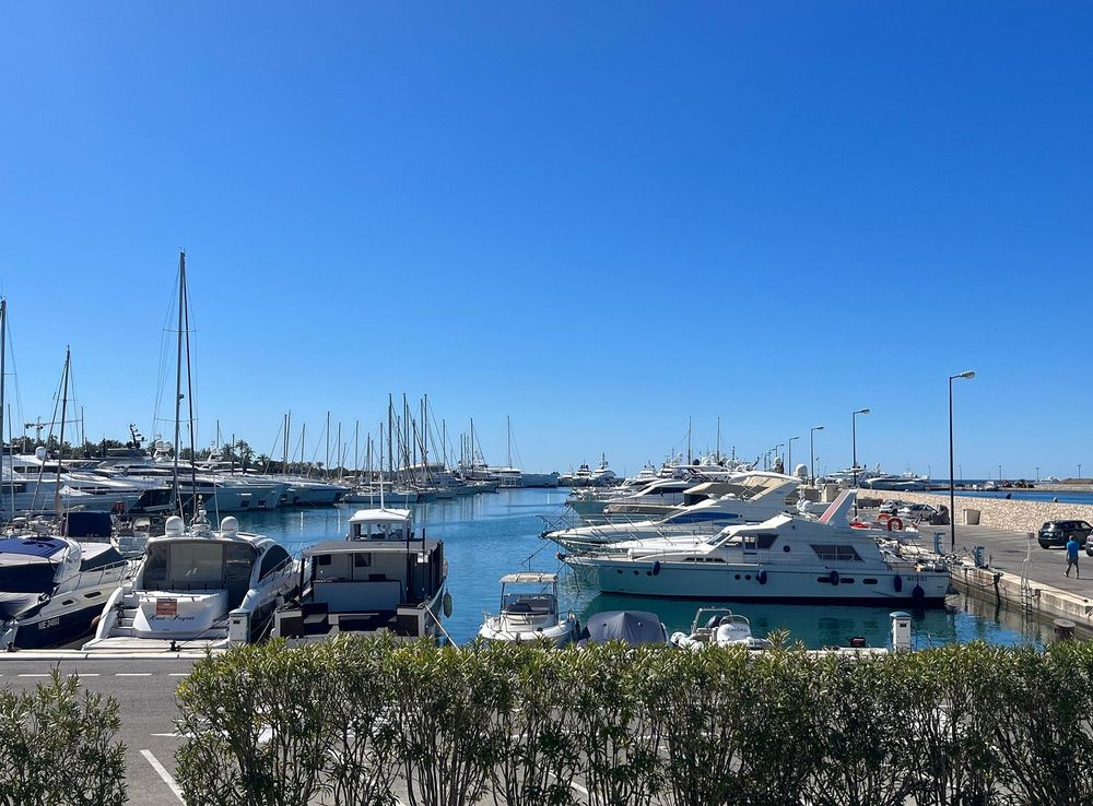 File:Port Pierre-Canto (Cannes) en avril 2023.JPG - Wikimedia Commons