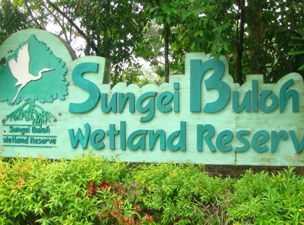 File:Sungei Buloh Wetland Reserve Banner.JPG - Wikipedia