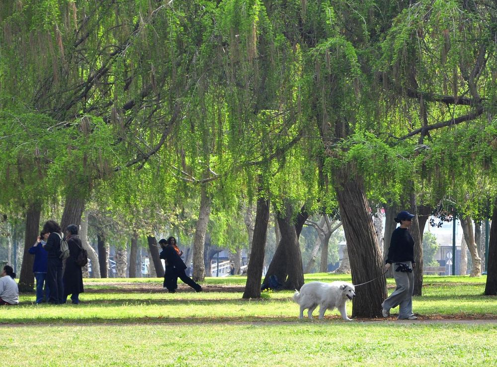 File:Yarkon park wide view.jpg - Wikimedia Commons