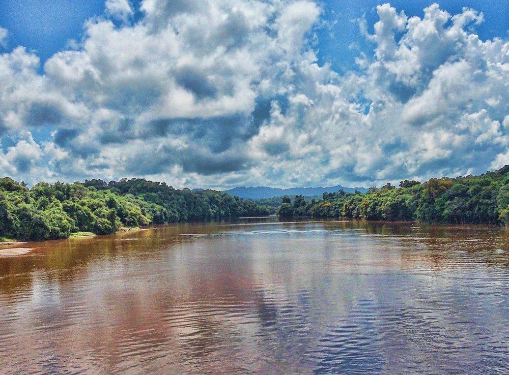 File:Potaro River from the Denham Bridge - panoramio.jpg - Wikimedia Commons