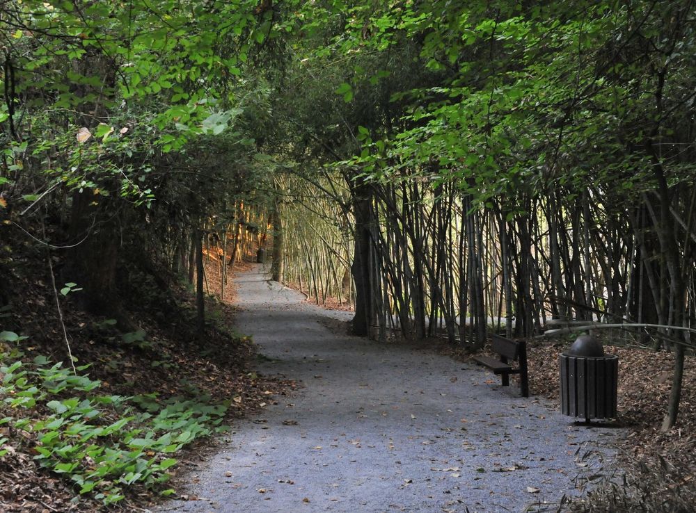 Wilderness Park gives options for autumn hiking > Maxwell Air Force Base >  Display