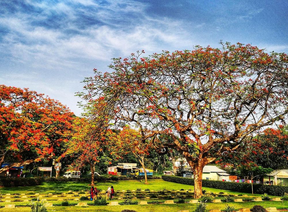 File:2nd world war cemetery, comilla.jpg - Wikimedia Commons