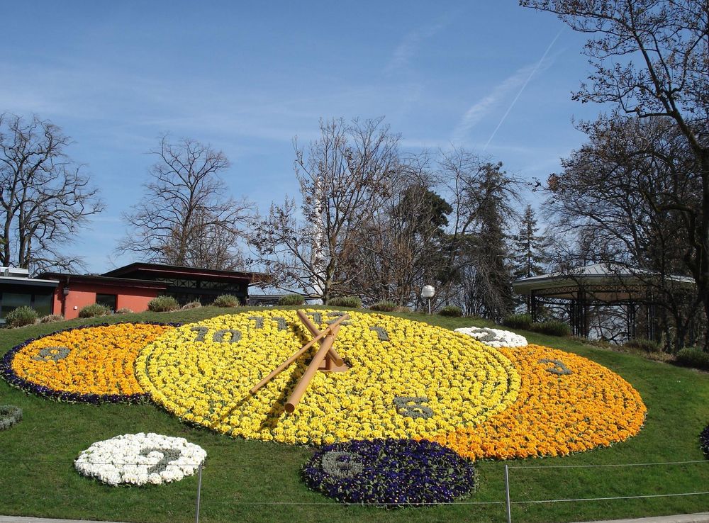 File:Flower Clock in Geneva.jpg - Wikimedia Commons