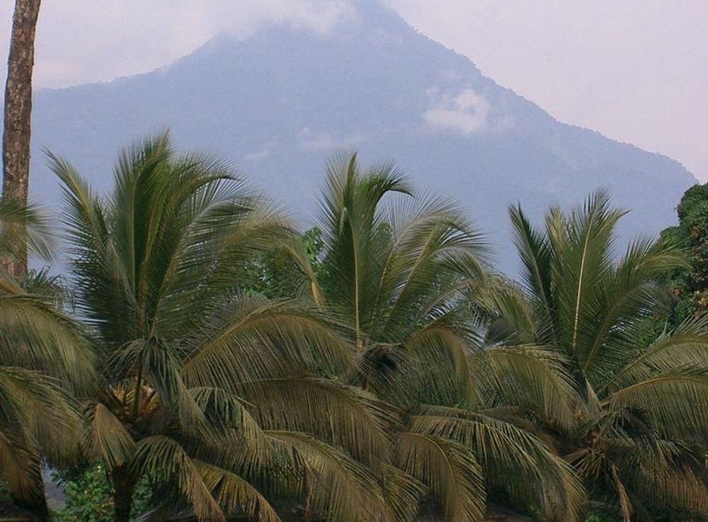 File:Le Mont Cameroun depuis Limbé.JPG - Wikimedia Commons