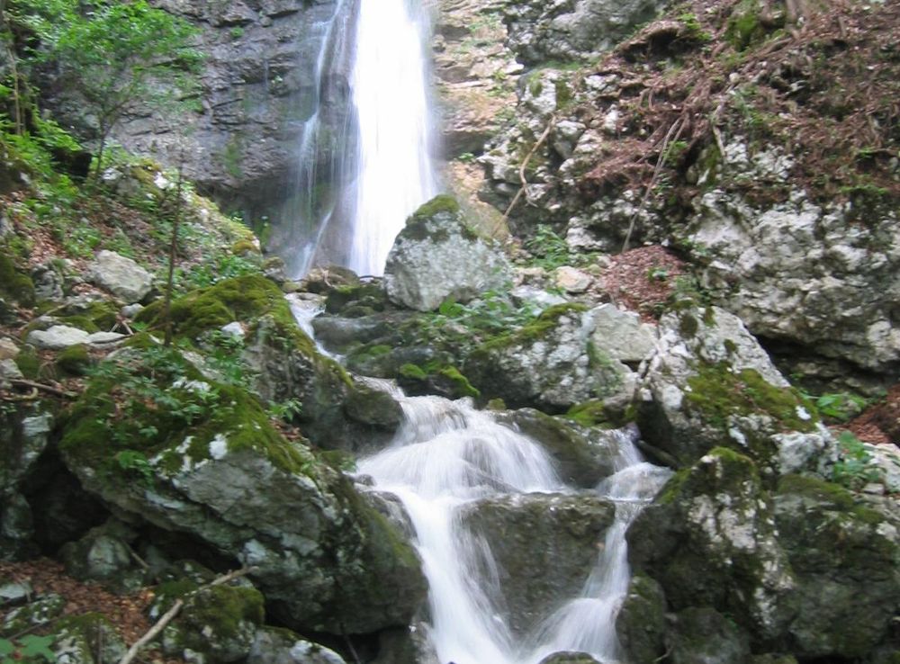File:KoritniskiSlapovi-Nomenj.JPG - Wikimedia Commons