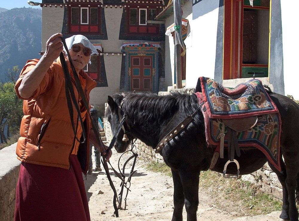 File:Namche Bazaar, Buddhist monk, Buddhist monastery, Nepal.jpg -  Wikimedia Commons