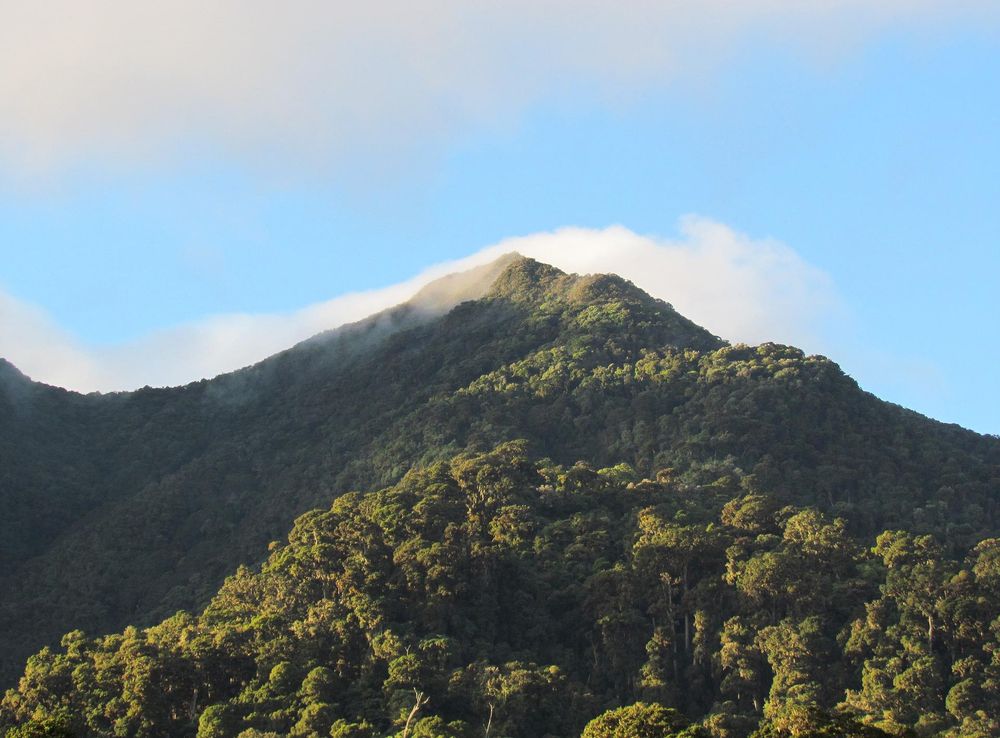 Archivo:La Amistad Panama Biosphere Reserve - Parque Nacional Volcan Baru  (a core zone) 39.JPG - Wikipedia, la enciclopedia libre
