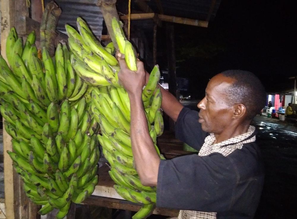 File:Ndizi Bukoba at market.jpg - Wikimedia Commons