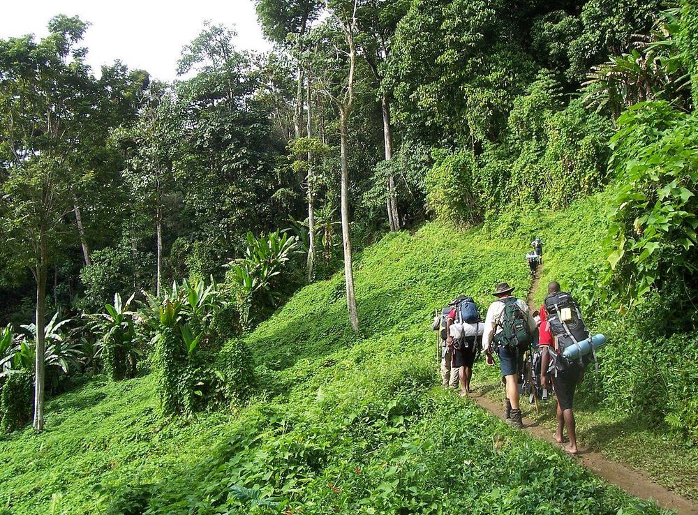 File:Kokoda track Papua New Guinea.JPG - Wikimedia Commons