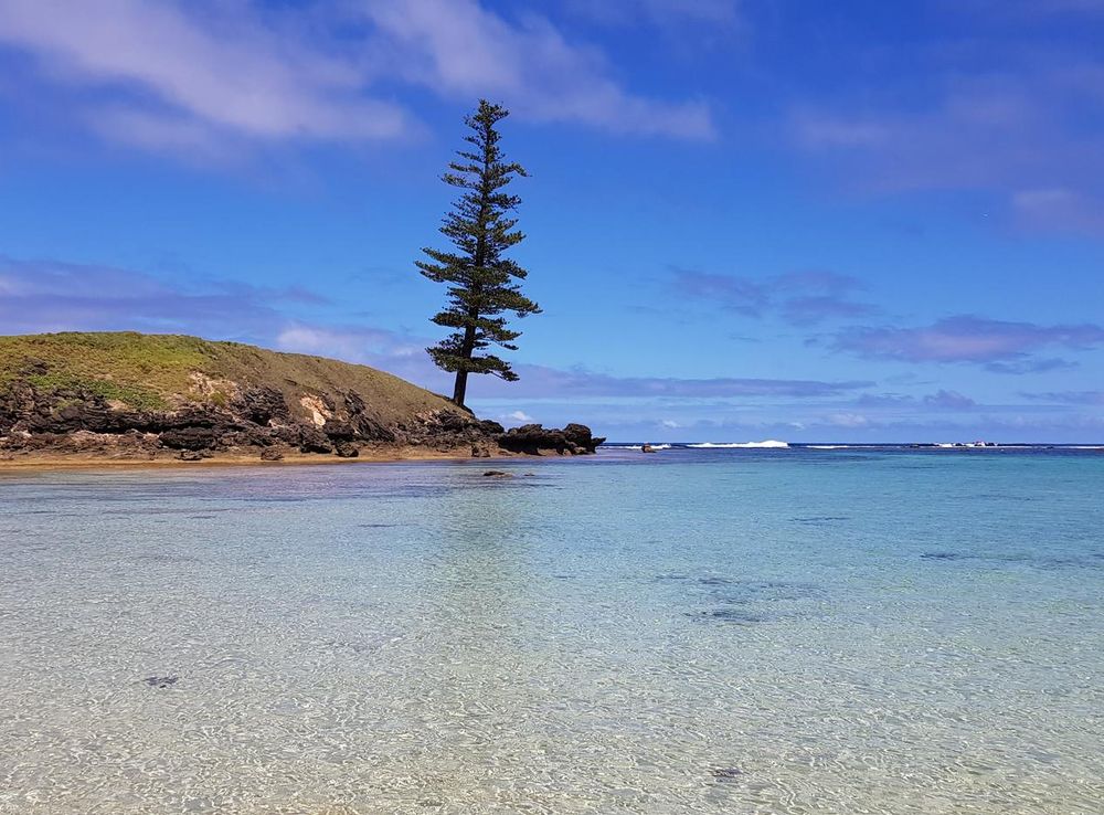 File:Emily Bay Norfolk Island.jpg - Wikimedia Commons