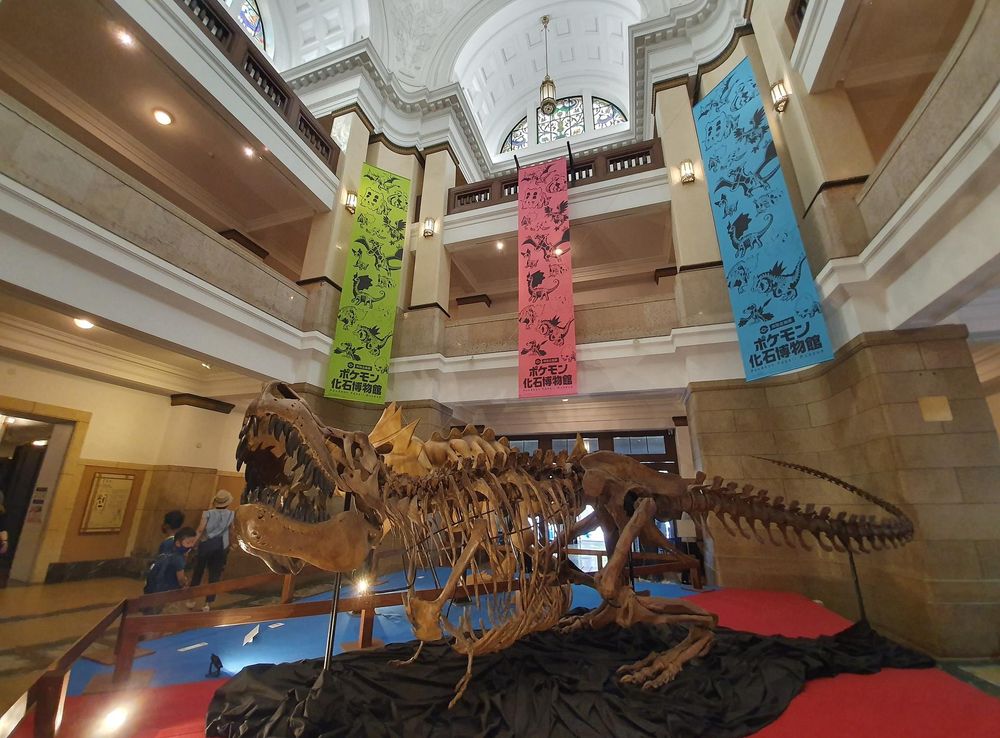 File:Pokemon exhibition at National Museum of Nature and Science.jpg -  Wikimedia Commons