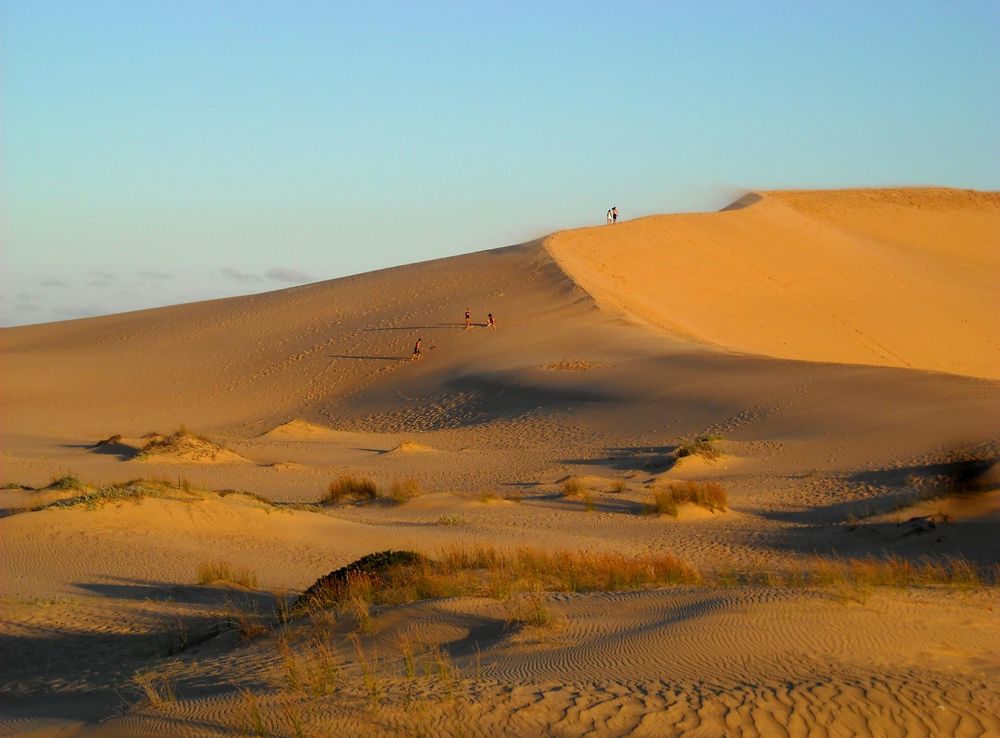 File:Parque Nacional Cabo Polonio (1).JPG - Wikimedia Commons