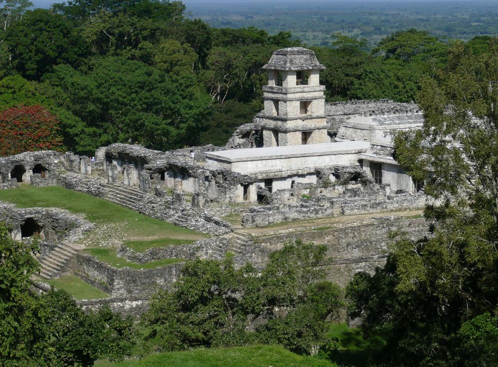 File:The Palace from the top of Temple of the Cross - Palenque Maya Site,  Feb 2020.jpg - Wikimedia Commons