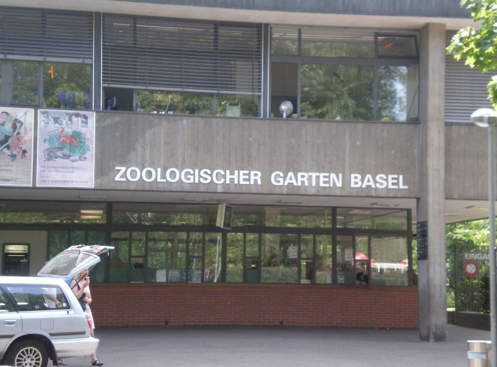 File:Basel Zoli 1.JPG - Wikimedia Commons