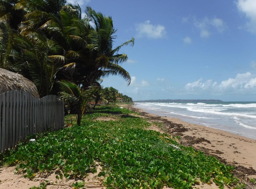 Mayaro Bay - Wikipedia