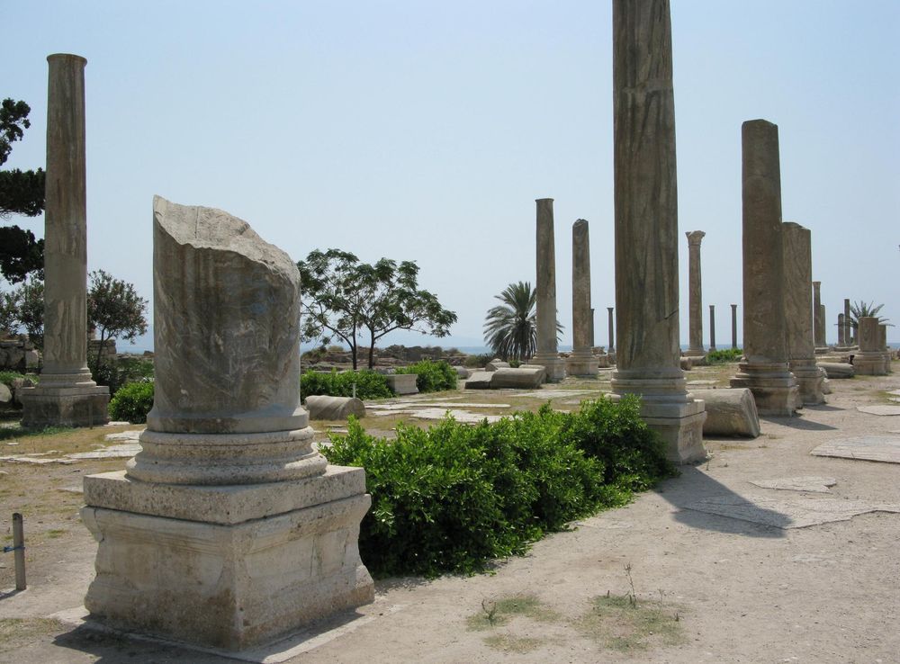 File:Ancient columns at Al Mina excavation site, Tyre, Lebanon.jpg -  Wikimedia Commons