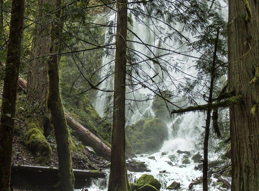 Clackamas River, Oregon. | Free Photo - rawpixel