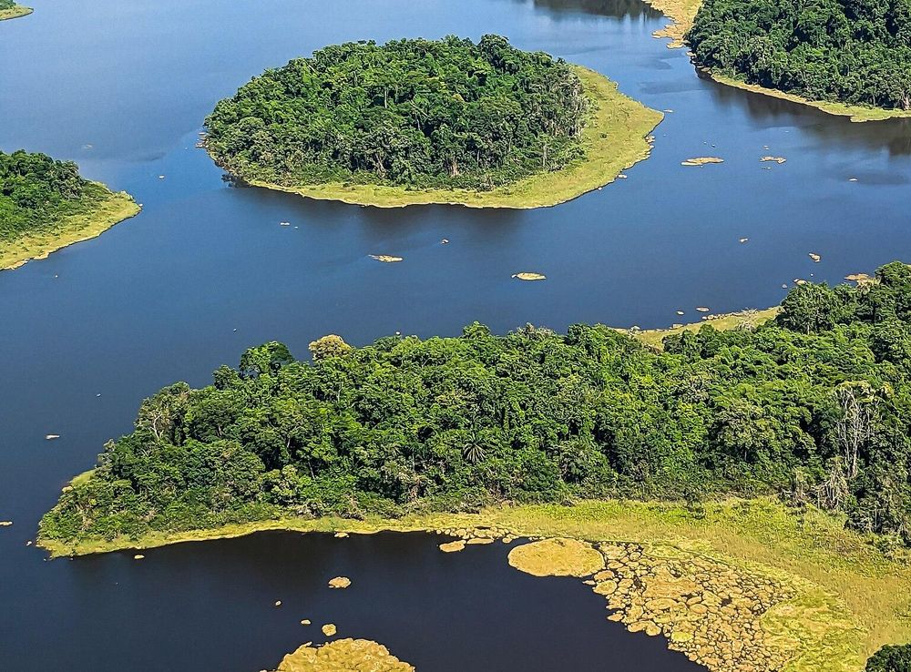 File:Lac Ossa - Réserve de faune du Lac Ossa - Région du Littoral -  Cameroun.jpg - Wikimedia Commons