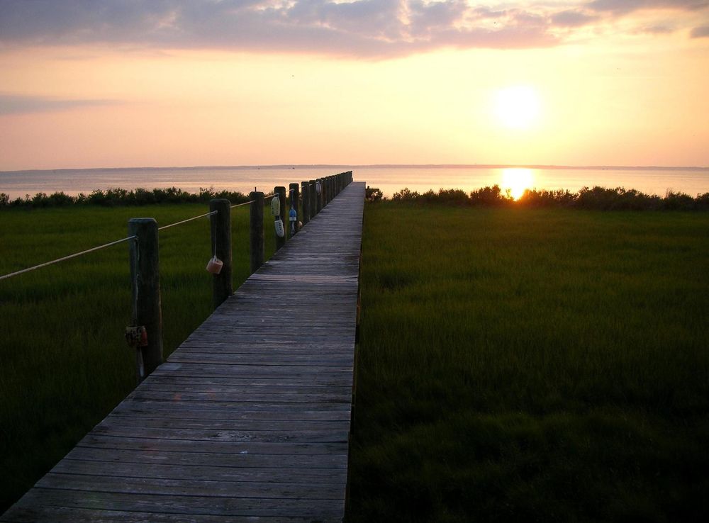 Free picture: boardwalk, sunset