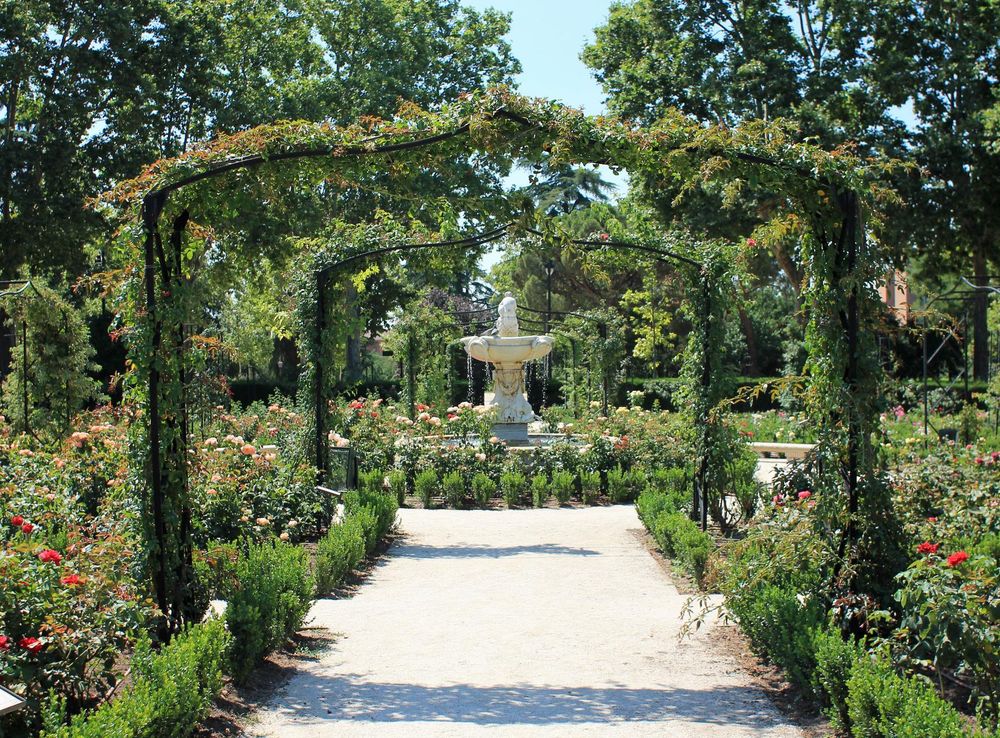 Archivo:Rosaleda del Retiro (Madrid) 06.jpg - Wikipedia, la enciclopedia  libre